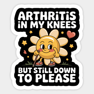 Funny Inappropriate Adult Humor Meme Arthritis In My Knees Sticker